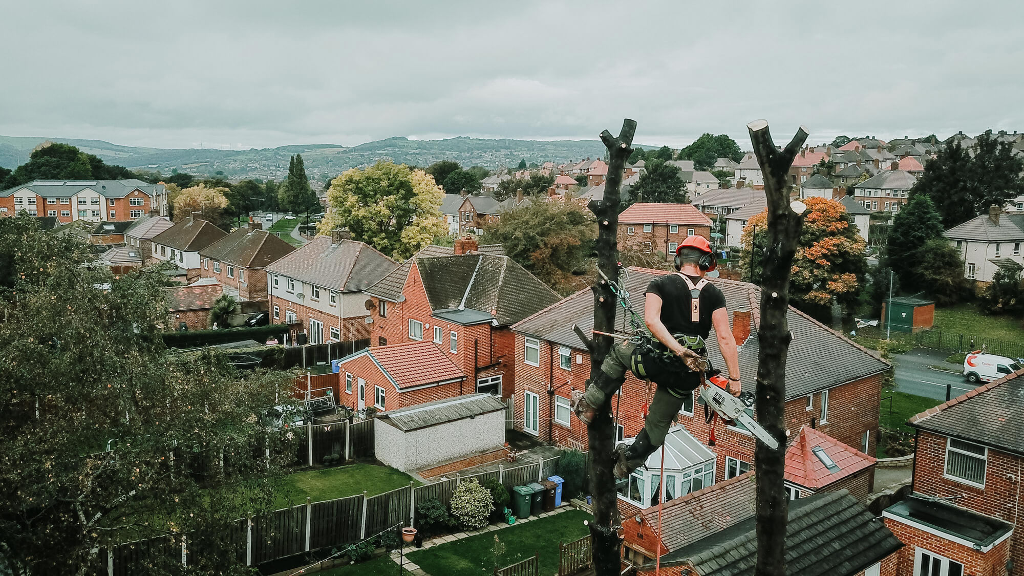 An aerial shot of a tree surgeon dismantling a tree in Hilsborough, Sheffield