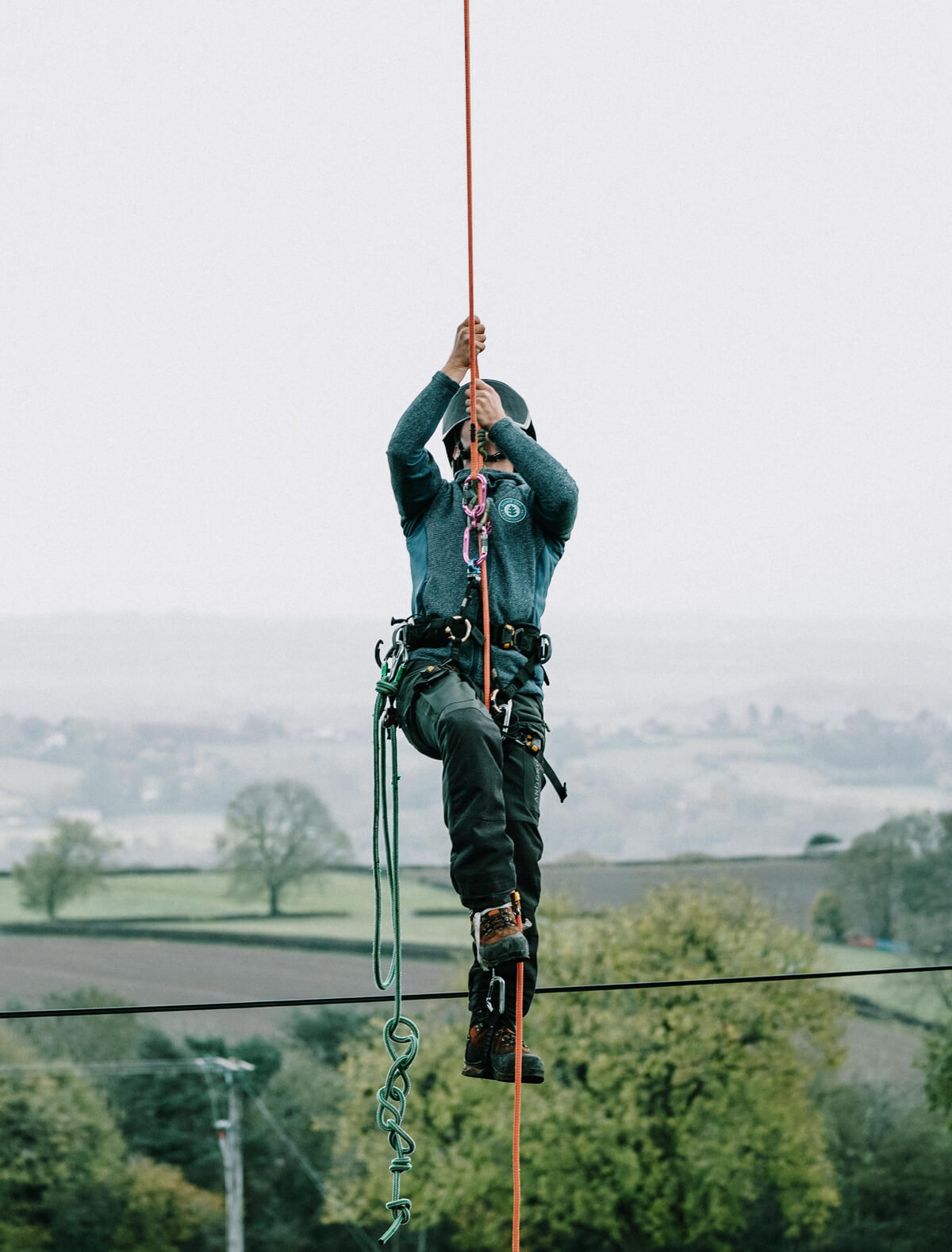 An Arborist climbing a tree in the Peak District in a harness and rope
