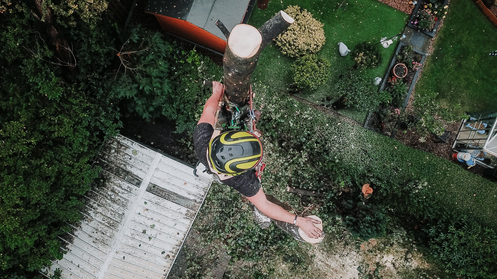Aerial shot of a tree surgeon dismantling a tree in Sheffield